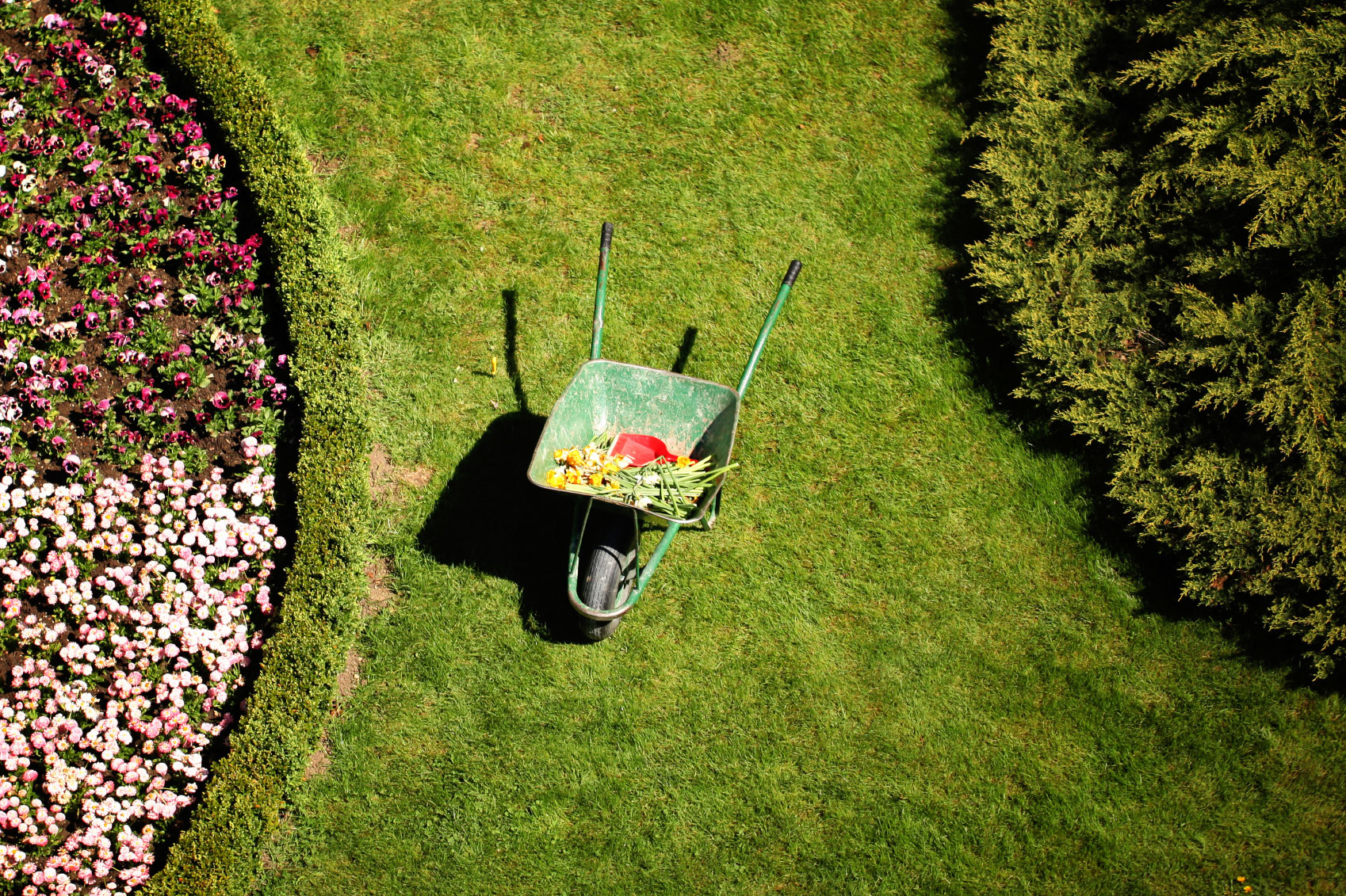 garden maintenance services