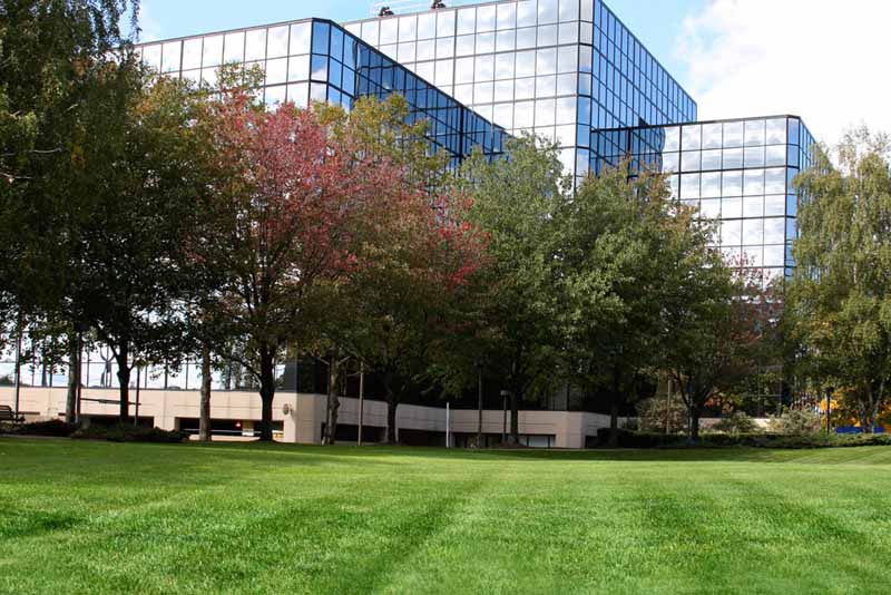 Commercial garden maintenance