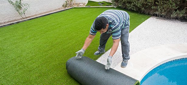 grass services