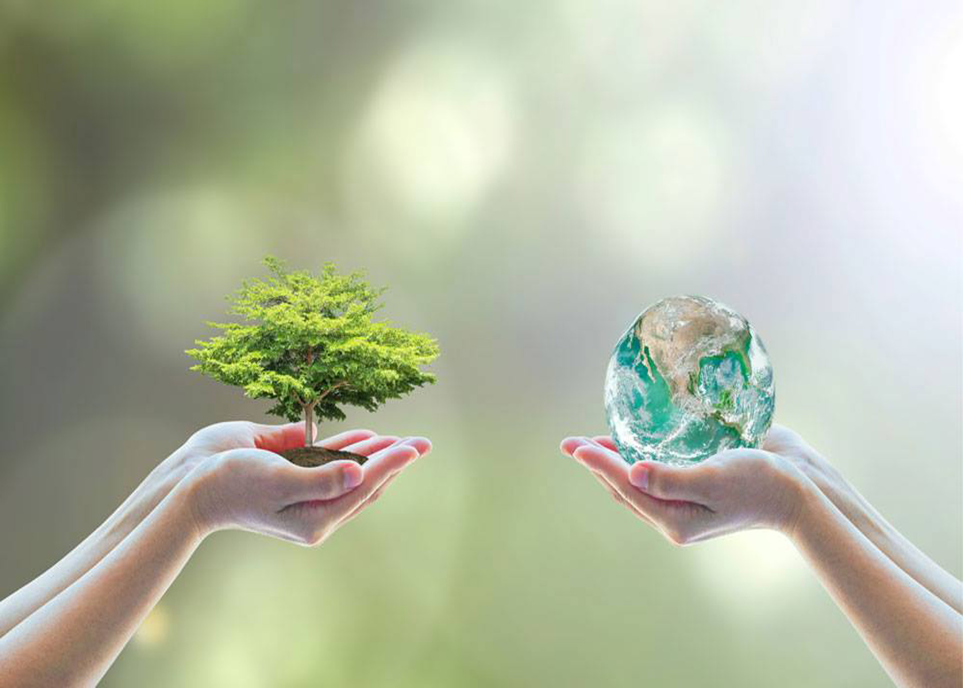 Landscape services